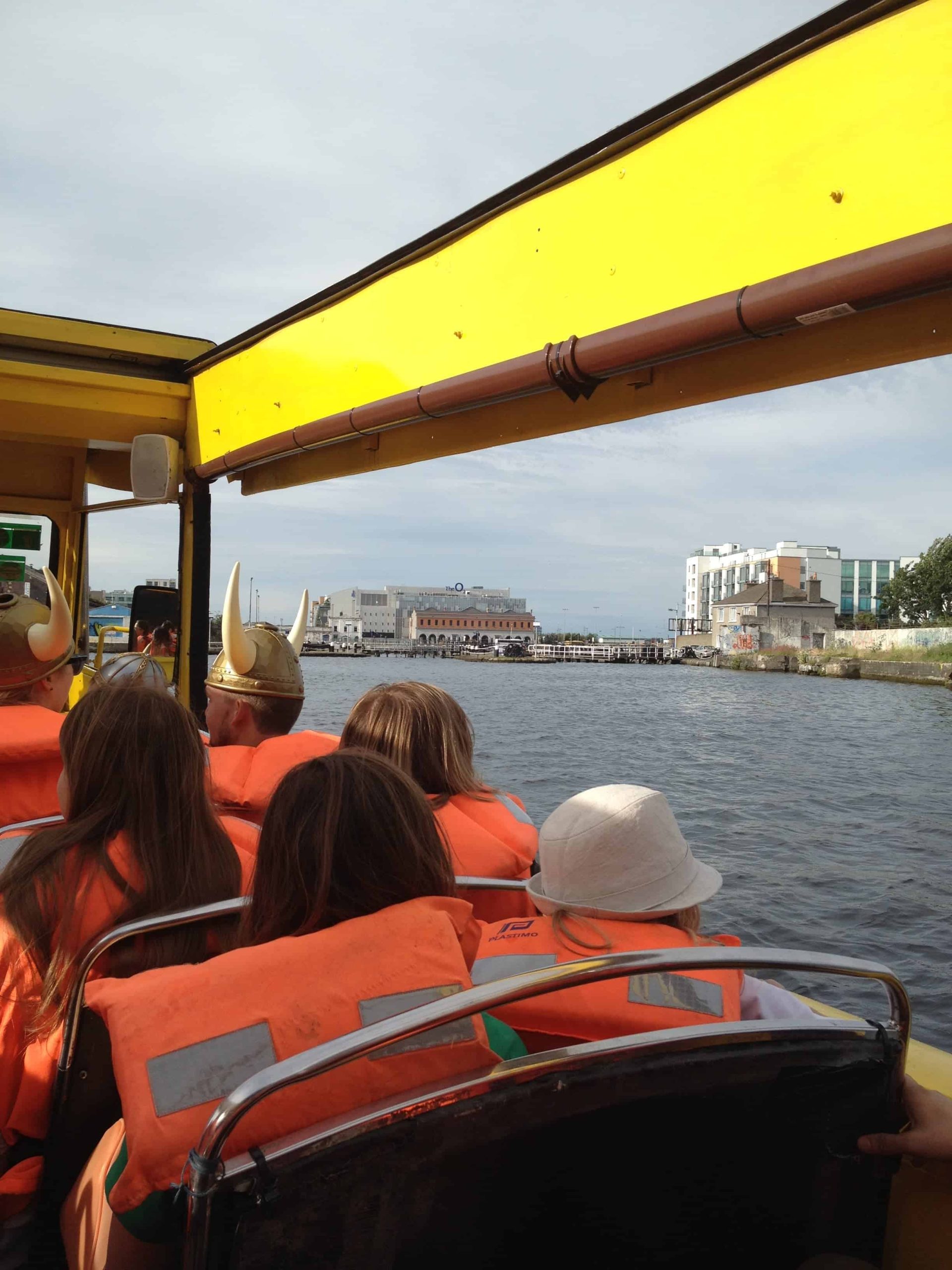 stedentrip dublin viking tour