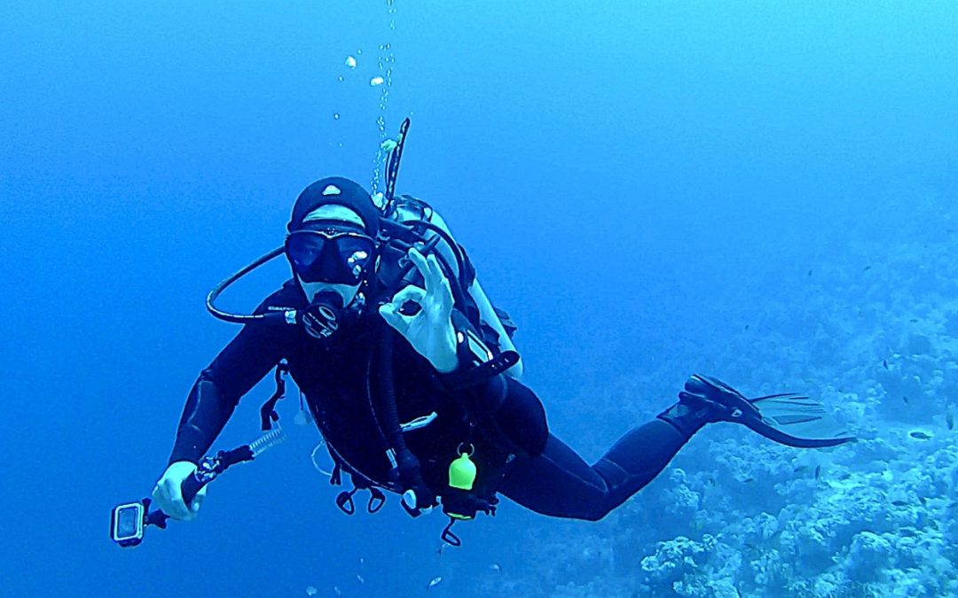 Ontdek de onderwaterwereld van de Rode Zee