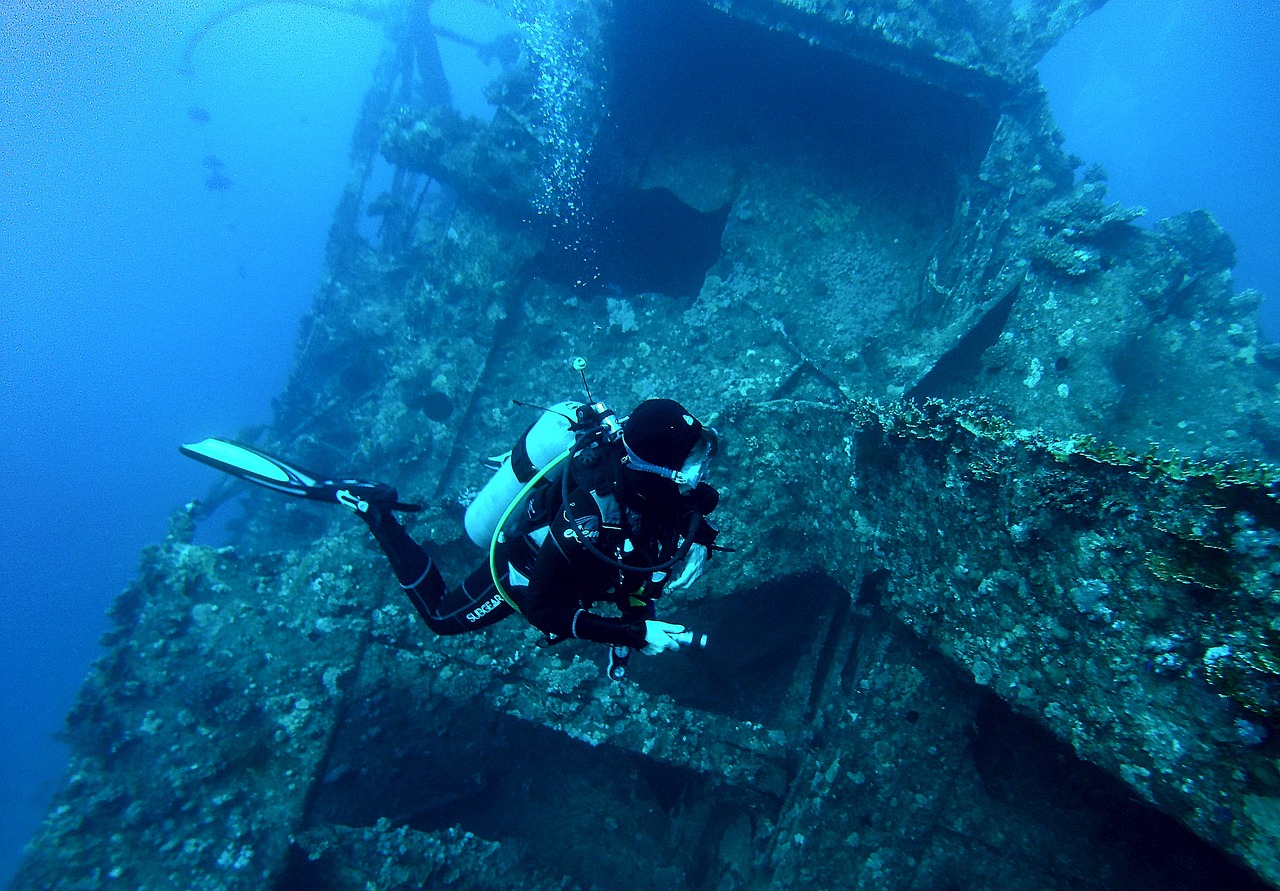dive-1799591_1280