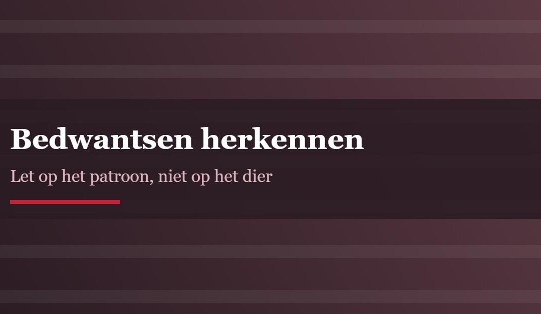 Hoe herken je bedwantsen in bed?
