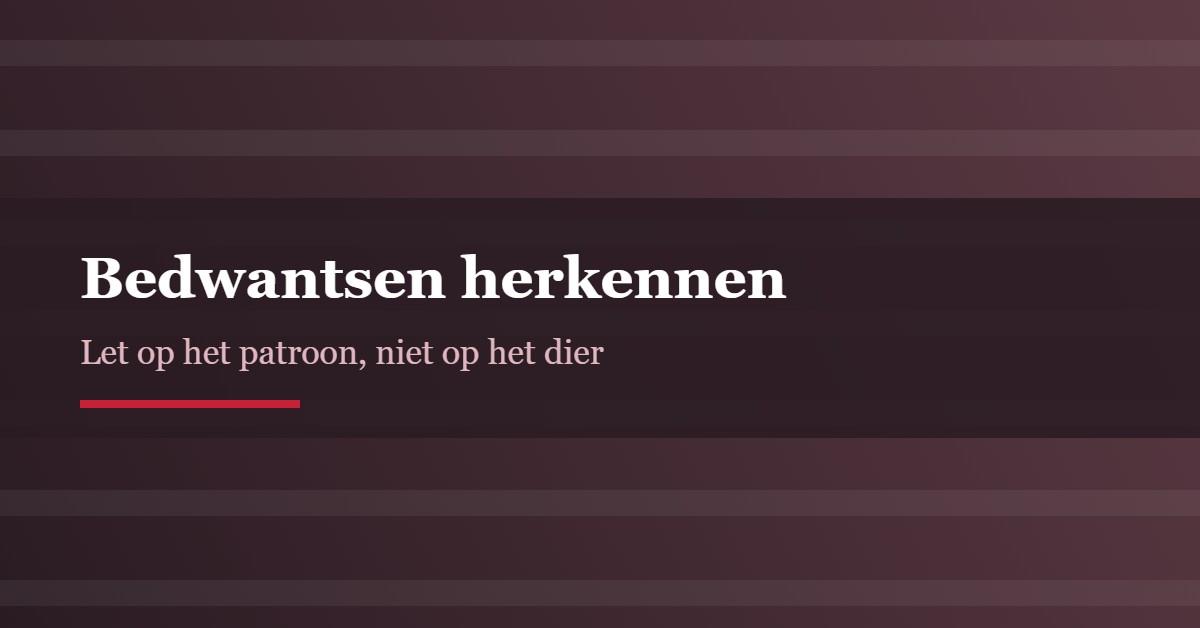 bdws-fb1223a17c6bf8df